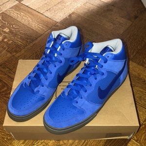 NWT Nike Dunk High Lr